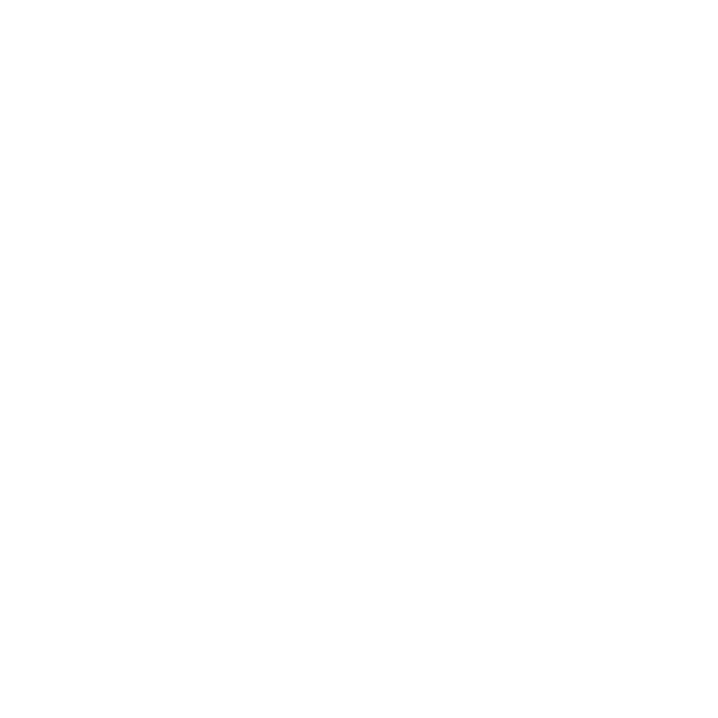 logo alterneo png
